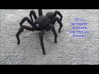 T8 the Bio Inspired 3D Printed Spider Octopod Robot
