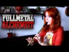 Fullmetal Alchemist -  Brothers (Gingertail Cover)