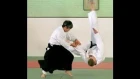 Minoru Kanetsuka Sensei aikido demo video, London - BAF
