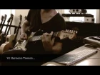 Strymon Flint Reverb/Tremolo, demo by Pete Thorn