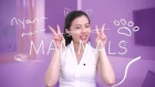 Weekly Chinese Words with Yinru - Mammals