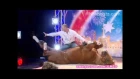 Australia's Got Talent 2011 - Double Dan Horsemanship