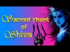 "Sacred Chants of Shiva Mantra "- Mrityunjaya Stotram - Shiv Tandav Stotram - Rudrashtakam