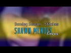 Shawn Mendes - Stitches (cover by Sundog Season)