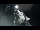 Dogs Sing For A Cure - We Could Be Heroes