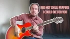 RED HOT CHILLI PEPPERS (RHCP) - I Coud Die For You  COVER