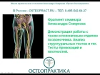 Таз и поясничный отдел - оздоровление, лечение - остеопат Смирнов