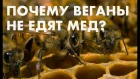 Почему веганы не едят мед? Правда о меде. Tamara Human