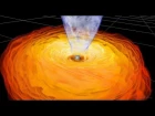 Black Hole Magnetohydrodynamic Simulation