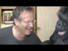 Koko's Tribute to Robin Williams