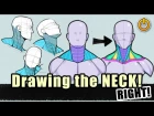 Basic Shapes to Anatomy breakdown! THE NECK!