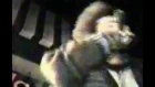 The Notorious B.I.G. Ft. Method Man Performing The What Live (Very Rare Clip)