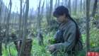（采野菜）If You Miss the Best Days to Pick Wild Herbs, You’ve Missed the Entire Spring |Liziqi Channel