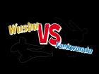 Shaolin Kung Fu (Wushu) vs Taekwondo Fight [Part 1]