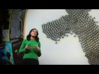 What intelligent machines can learn from a school of fish | Radhika Nagpal