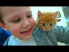 Мистер Макс и Мисс Кейти - Кошечка Мурка покупаем питомца Максу и Кате ВЛОГ на рынке животных Kitten pet for Mister Max