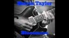 Melvin Taylor- Blue jeans blues