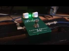 Lotus Pedals - THD+N (Total Harmonic Distortion + Noise) played with a Strat