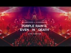 Evanescence - Purple Rain & Even In Death (FanCam Live)