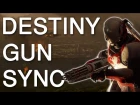 Destiny 2 Gun Sync - Aero Chord - Warrior of the Night