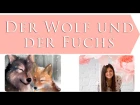 Der Wolf und der Fuchs (Brüder Grimm) / Волк и лиса (Братья Гримм) / на немецком