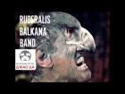 Ruderalis Balkan Band
