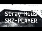[Stray Kids : SKZ-PLAYER] Lee Know X Hyunjin X Felix dance cover by SA.AN