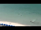 Охота акулы у пляжа