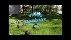 video parkour project - we are