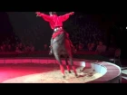 The International Artist Agency - Yury Volodchenkov - High school act horse