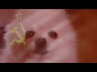 Gabe the Dog - Soviet Barks (C&C: Red Alert)