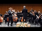 Allegro non troppo - Brahms Concerto in D major  - part 4