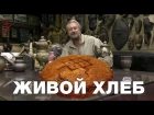 Живой русский хлеб. Традиционная еда славян. Почему хлеб всему голова. Виталий С ...